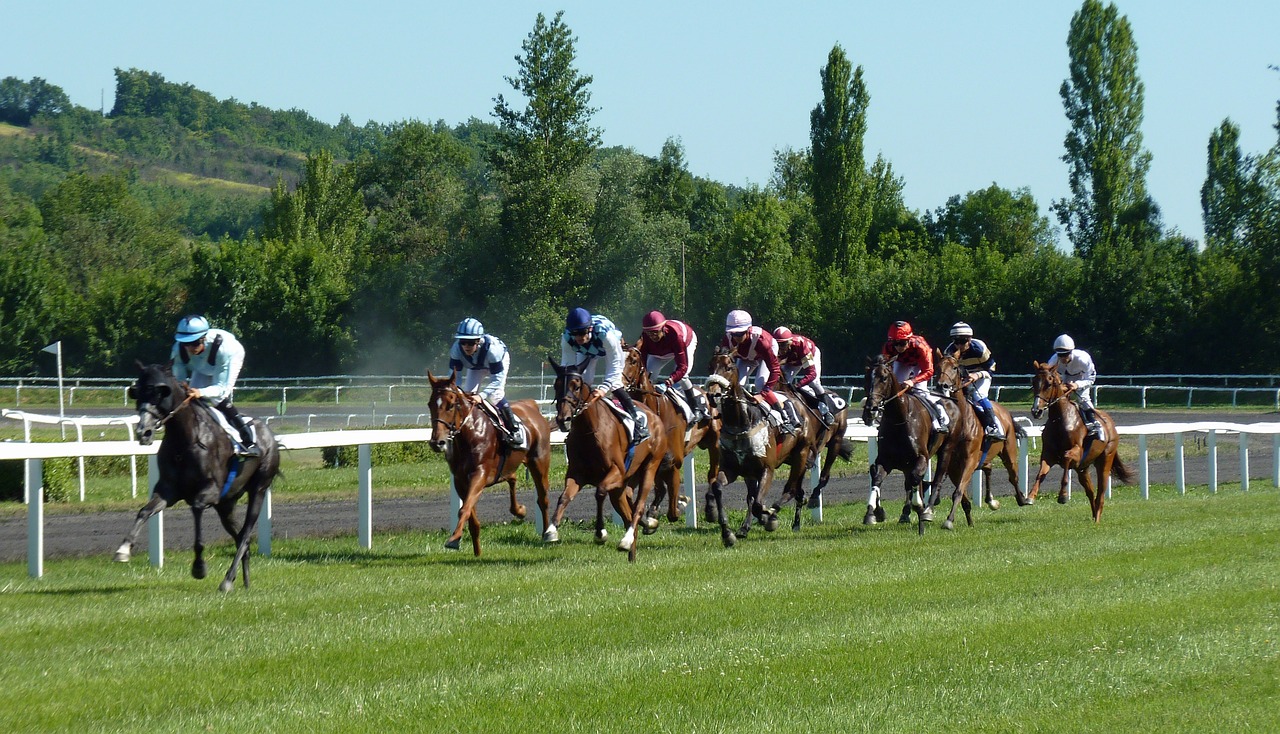 horse race